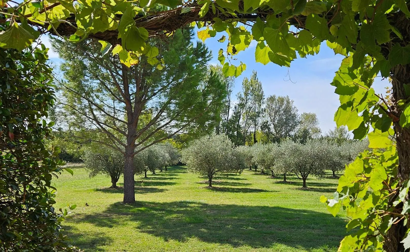 Bed & Breakfast La Ramade 5 Chambres & Table D'Hotes En Drome Provencale Tulette