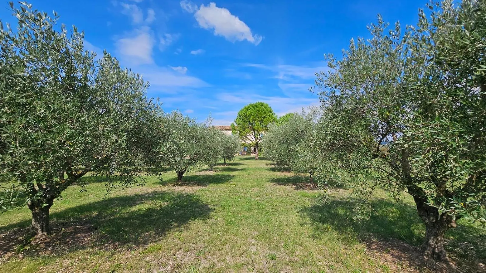 Bed & Breakfast La Ramade 5 Chambres & Table D'Hotes En Drome Provencale Tulette France