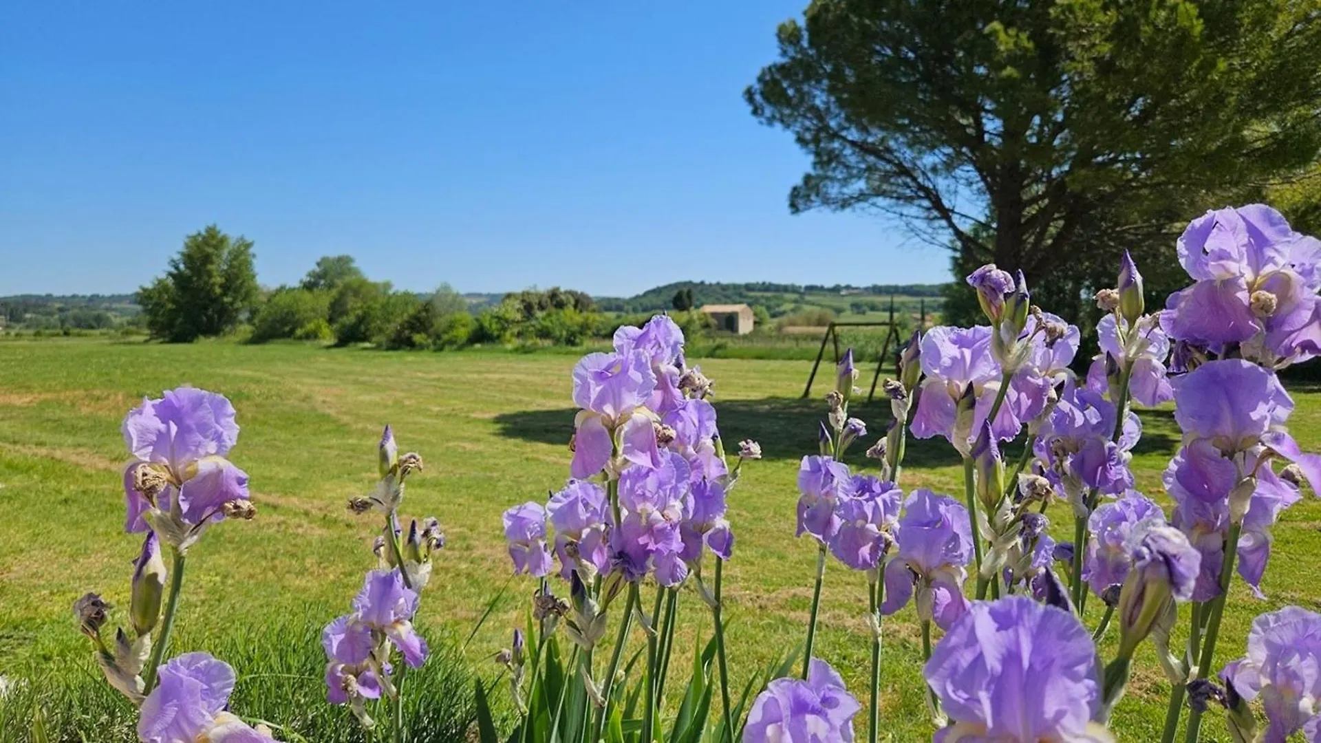 Bed & Breakfast La Ramade 5 Chambres & Table D'Hotes En Drome Provencale Tulette France